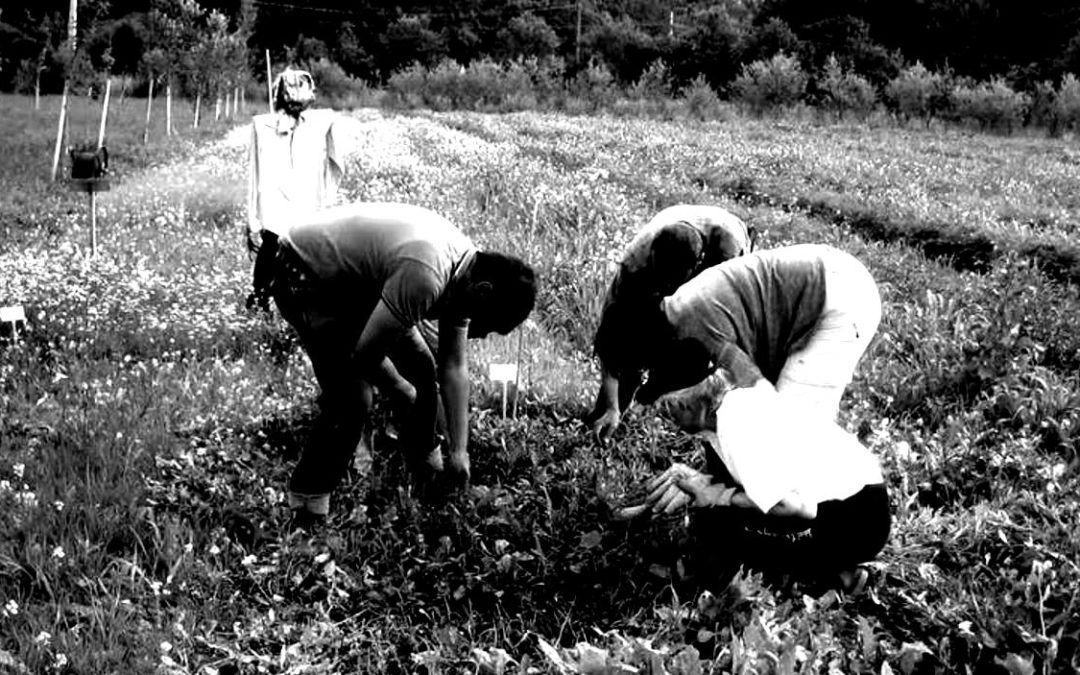 Riscattare il lavoro dalla rincorsa perenne alla flessibilità